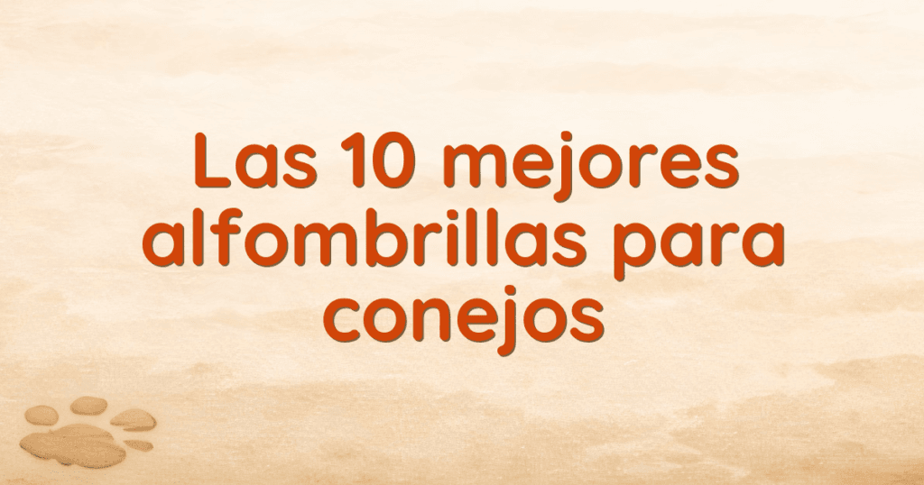 Las 10 mejores alfombrillas para conejos Las 10 mejores alfombrillas para conejos