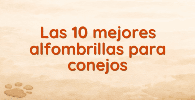 Las 10 mejores alfombrillas para conejos Las 10 mejores alfombrillas para conejos