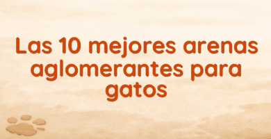 Las 10 mejores arenas aglomerantes para gatos