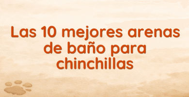 Las 10 mejores arenas de baño para chinchillas Las 10 mejores arenas de baño para chinchillas
