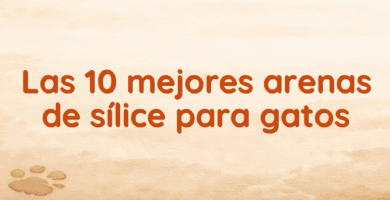 Las 10 mejores arenas de sílice para gatos Las 10 mejores arenas de sílice para gatos