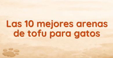 Las 10 mejores arenas de tofu para gatos