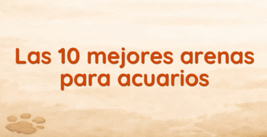 Las 10 mejores arenas para acuarios