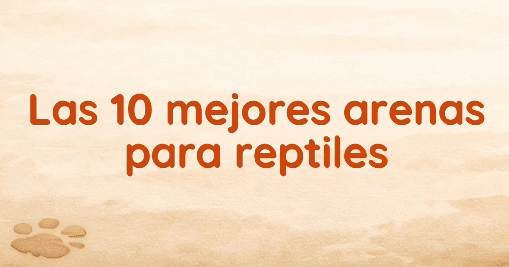 Las 10 mejores arenas para reptiles