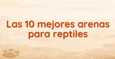 Las 10 mejores arenas para reptiles Las 10 mejores arenas para reptiles