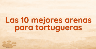 Las 10 mejores arenas para tortugueras Las 10 mejores arenas para tortugueras