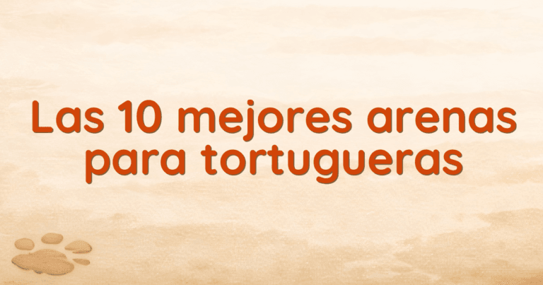 Las 10 mejores arenas para tortugueras Las 10 mejores arenas para tortugueras