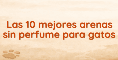 Las 10 mejores arenas sin perfume para gatos Las 10 mejores arenas sin perfume para gatos
