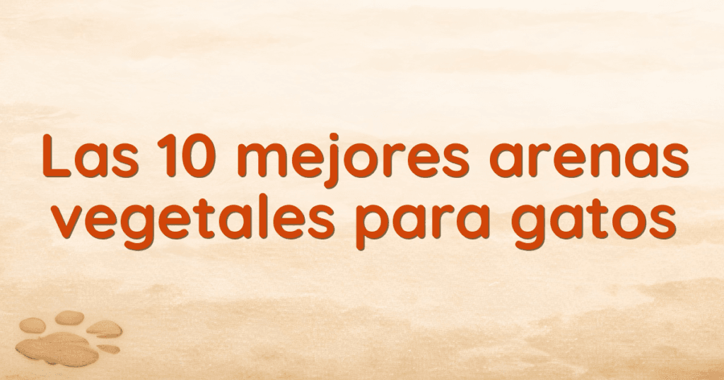 Las 10 mejores arenas vegetales para gatos Las 10 mejores arenas vegetales para gatos
