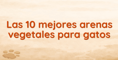 Las 10 mejores arenas vegetales para gatos