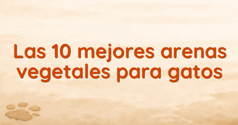 Las 10 mejores arenas vegetales para gatos