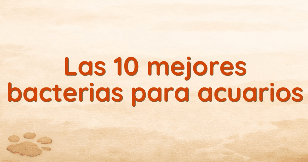 Las 10 mejores bacterias para acuarios Las 10 mejores bacterias para acuarios