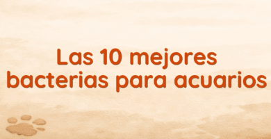 Las 10 mejores bacterias para acuarios Las 10 mejores bacterias para acuarios