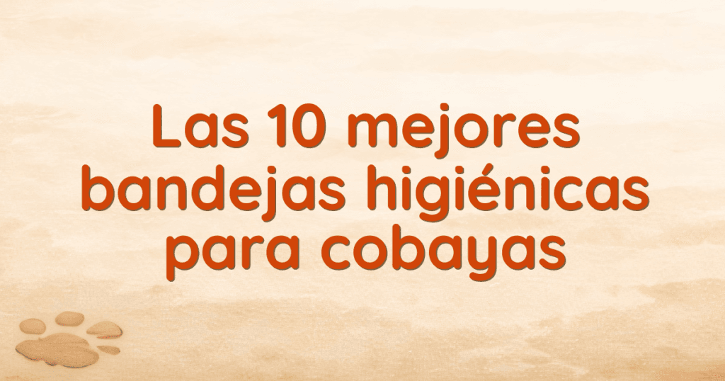 Las 10 mejores bandejas higiénicas para cobayas