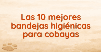 Las 10 mejores bandejas higiénicas para cobayas