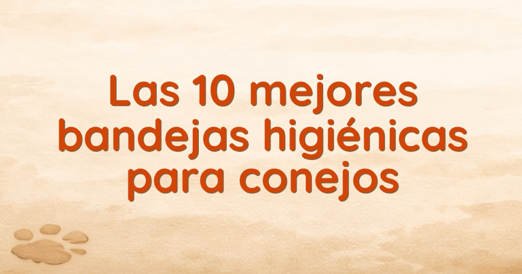 Las 10 mejores bandejas higiénicas para conejos