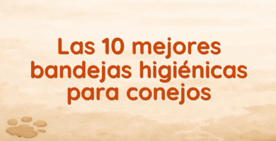 Las 10 mejores bandejas higiénicas para conejos