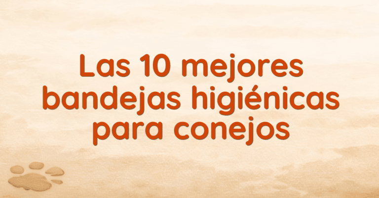 Las 10 mejores bandejas higiénicas para conejos