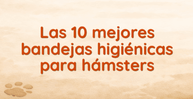Las 10 mejores bandejas higiénicas para hámsters