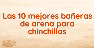 Las 10 mejores bañeras de arena para chinchillas Las 10 mejores bañeras de arena para chinchillas