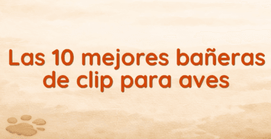Las 10 mejores bañeras de clip para aves