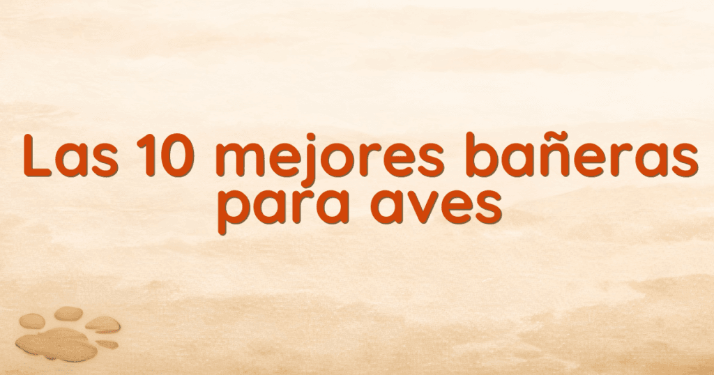 Las 10 mejores bañeras para aves