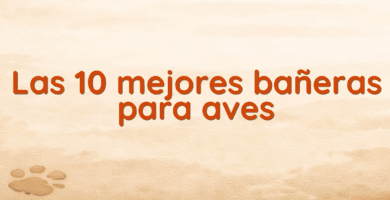 Las 10 mejores bañeras para aves