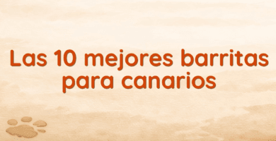 Las 10 mejores barritas para canarios