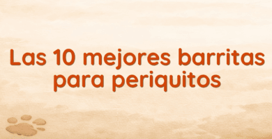 Las 10 mejores barritas para periquitos