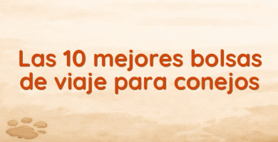Las 10 mejores bolsas de viaje para conejos