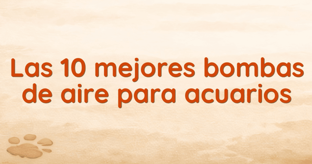 Las 10 mejores bombas de aire para acuarios