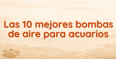Las 10 mejores bombas de aire para acuarios