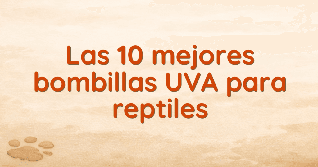 Las 10 mejores bombillas UVA para reptiles Las 10 mejores bombillas UVA para reptiles