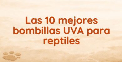 Las 10 mejores bombillas UVA para reptiles Las 10 mejores bombillas UVA para reptiles
