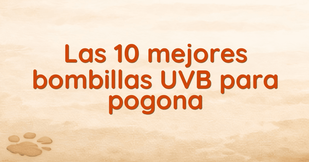 Las 10 mejores bombillas UVB para pogona