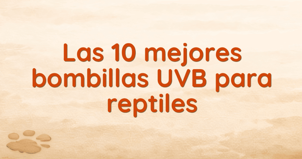 Las 10 mejores bombillas UVB para reptiles