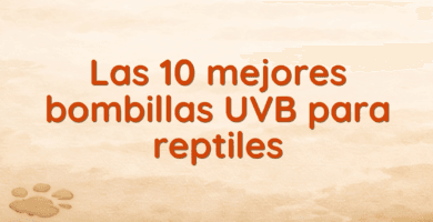 Las 10 mejores bombillas UVB para reptiles Las 10 mejores bombillas UVB para reptiles