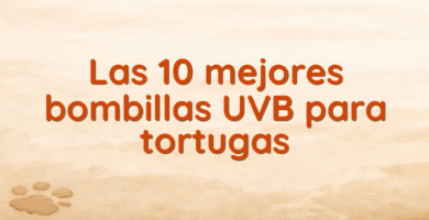 Las 10 mejores bombillas UVB para tortugas