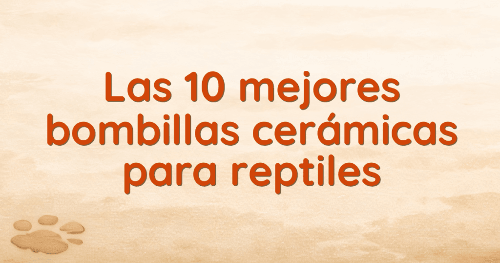 Las 10 mejores bombillas cerámicas para reptiles