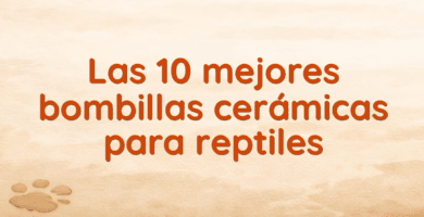 Las 10 mejores bombillas cerámicas para reptiles