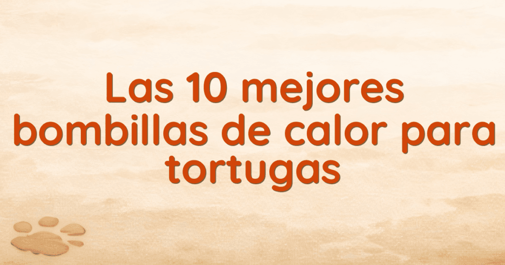 Las 10 mejores bombillas de calor para tortugas Las 10 mejores bombillas de calor para tortugas