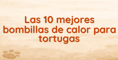 Las 10 mejores bombillas de calor para tortugas Las 10 mejores bombillas de calor para tortugas