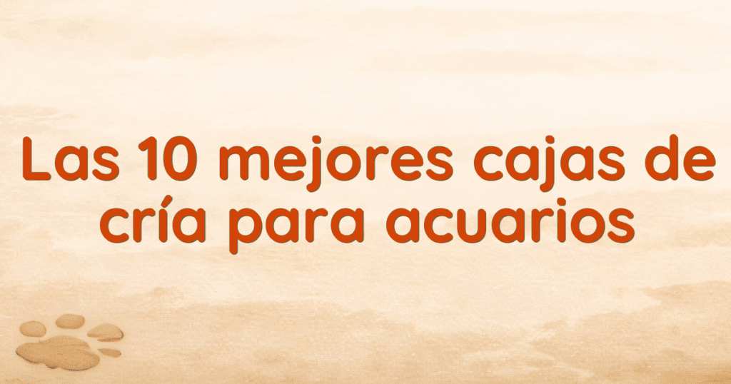 Las 10 mejores cajas de cría para acuarios Las 10 mejores cajas de cría para acuarios