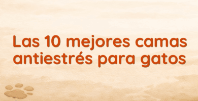 Las 10 mejores camas antiestrés para gatos