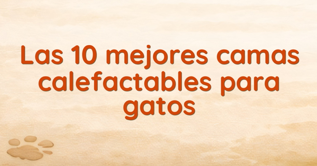 Las 10 mejores camas calefactables para gatos