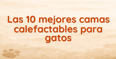 Las 10 mejores camas calefactables para gatos