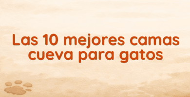 Las 10 mejores camas cueva para gatos Las 10 mejores camas cueva para gatos
