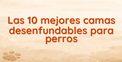 Las 10 mejores camas desenfundables para perros Las 10 mejores camas desenfundables para perros