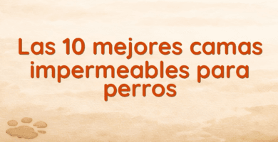 Las 10 mejores camas impermeables para perros