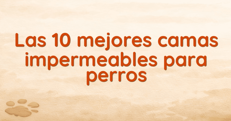 Las 10 mejores camas impermeables para perros